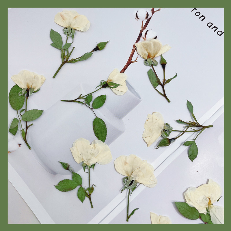 Wedding Card Box - 12개, 자연스러운 흰색 분홍색 붉은 장미